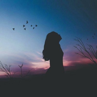 tanoysy's profile picture. 