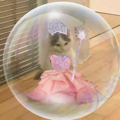 fruitysaurusrex's profile picture. 