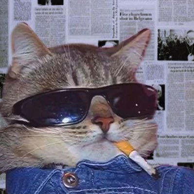 firozkhxn_'s profile picture. 