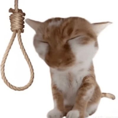 zlustr's profile picture. 