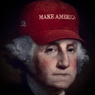 ScaterdFew316's profile picture. One Nation UNDER GOD. ✝️🇺🇸
#VeritasAequitas