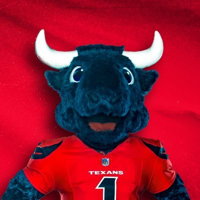 TexansTORO1's profile picture. 🏈 best mascot in the nfl 😂 ceo of pranks  🏆 mascot hall of fame class of 2025