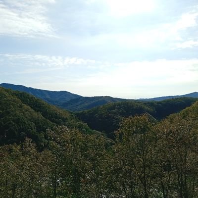 bluelight3rdeye's profile picture. 우물 밖을 내다보려고 가입🌲
세상의 멋지고 예쁘고 귀여운 것들과 재미있는 이야기들이 좋아
