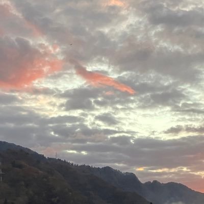 mut_jx's profile picture. 