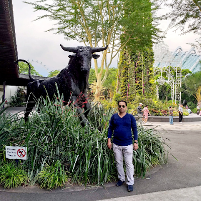 uzzaman_wa45584's profile picture. GOVERNMENT SERVICE