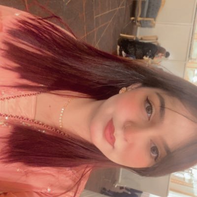 desipotato_'s profile picture. my profile is fake, i am actually a cat