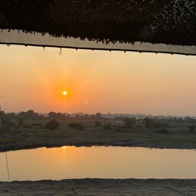 BedoriKirni's profile picture. 