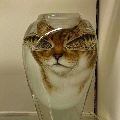 SoYouveBeenBusy's profile picture. A television writer and enjoyer with many opinions and a soft spot for broadcast