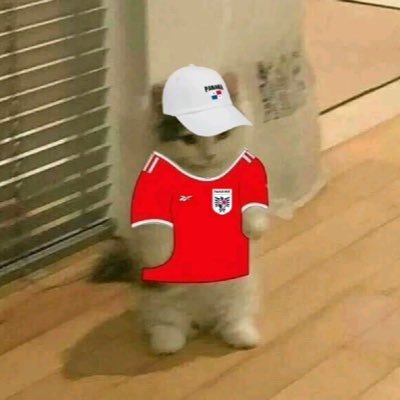 thisantho's profile picture. 🇵🇦