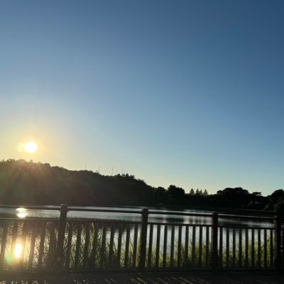 mory_rabbit0328's profile picture. 🐈‍⬛社員。 数年ぶりにドルアカ、作りますか。まあ、現地勢には程遠いと思うけどw #朝空詩珠紅 #カリめんっ ※ちなみにそばアレルギーです