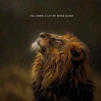 OlmadiOlurr's profile picture. 