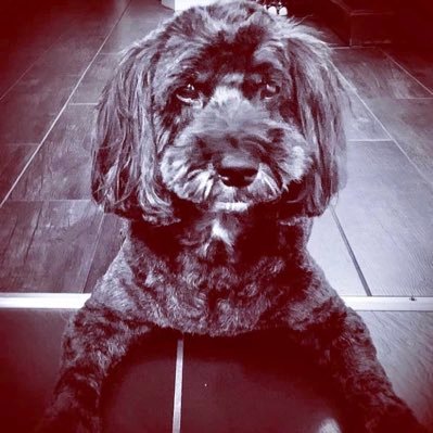 djwskyblu's profile picture. Writer, communications consultant, author & ex @ManCity blogger. Perception is everything - the facts come later. Responsible for https://t.co/gditjn16Oe