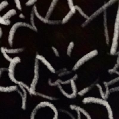 CopiTheCat's profile picture. COMMISSIONS OPEN 🩵 ESP|ENG 20yo / Working on Time To Work! ACC: @CopisBT