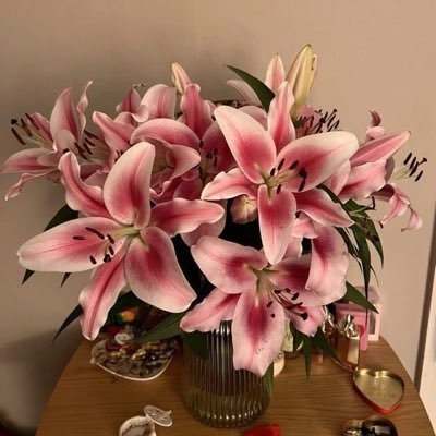 wholesehere's profile picture. oh captain, my captain