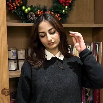 chonkychihuahua's profile picture. 