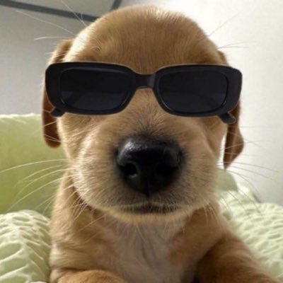 notfurdew's profile picture. 