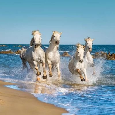 XubberanXubby's profile picture. Agri Economist, Sales and Marketing Consultant. 
Head Sales @Brown's food co. Kenyan cheese expert.