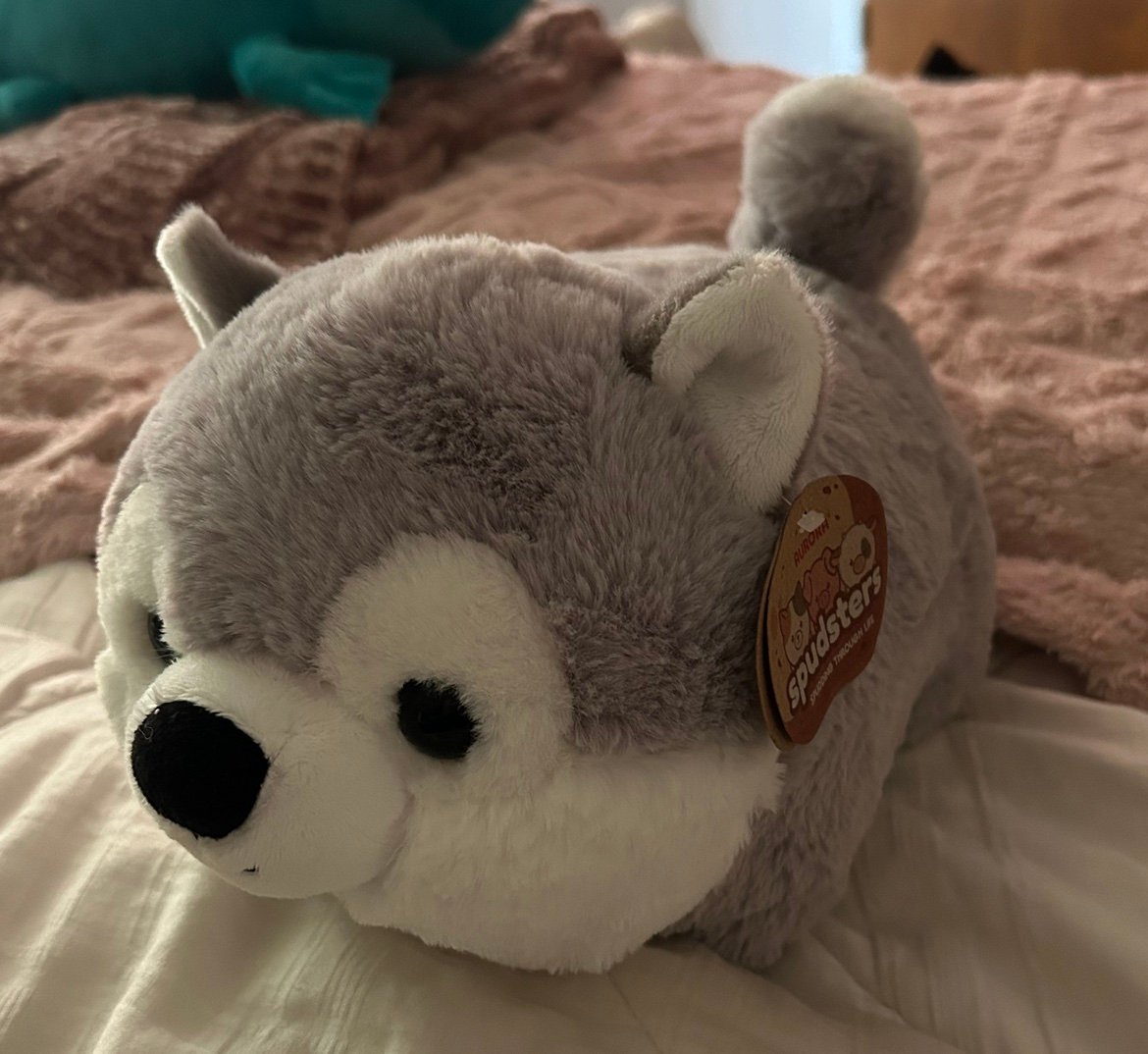 BraelynDebusk's profile picture. 