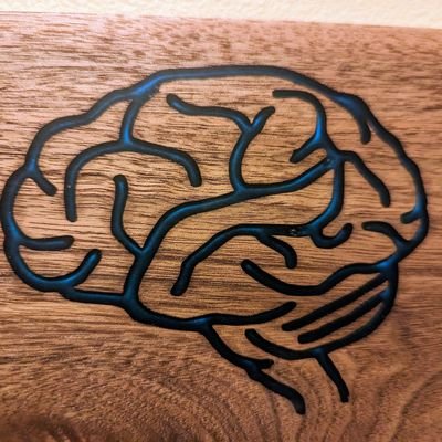 MaoLin00's profile picture. Neurophilosopher, metaphysics