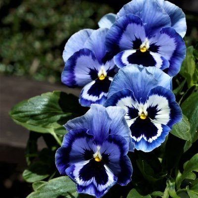 elen837's profile picture. 