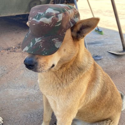 galodskate's profile picture. 