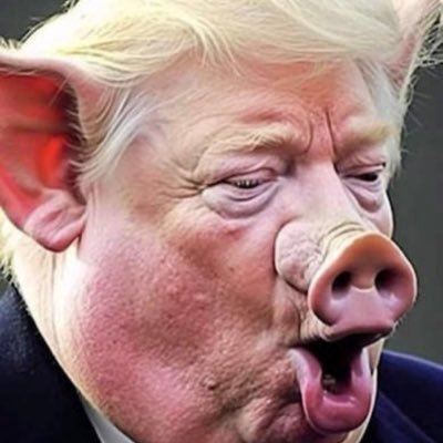 mebennui's profile picture. Nothing about me is interesting or criminal. IS ANTIFA IN THE ROOM WITH US NOW??