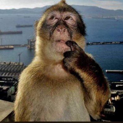 LumiToffee's profile picture. #1 Windows 7 lover | 14 | artist | they/it | priv: dm to ask| basic dni | check expanded bio