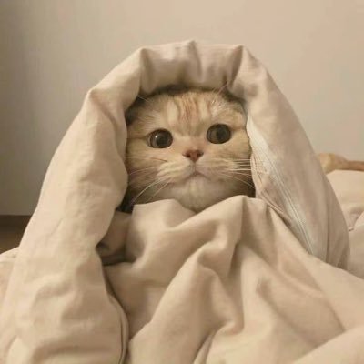 julialovetaylor's profile picture. swiftie🌈🌈🌈