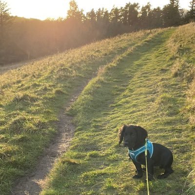 Maureen_McCraw's profile picture. Mum, Wife, Trainee Shamanic Reiki Practitioner, Nurse (35yrs), Massage, Reiki & COSCA Certificate in Counselling Skills.