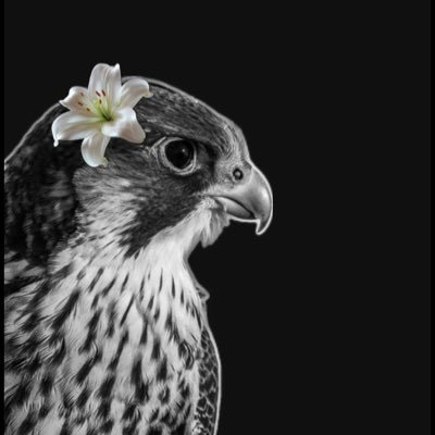 mn23r8's profile picture. بطريقةَ ما .. سيصلح الله كل شيء ❣️".