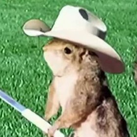 10gallonrat's profile picture. debunked #RingTheBell #HereTheyCome #FlyEaglesFly #LetsGoFlyers