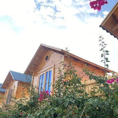 rtttti8787's profile picture. اللهم قدرا جميلا وخيرا يتبعه الرضا 🌹