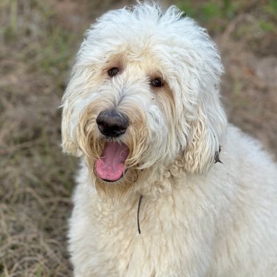 ETX_Riley's profile picture. 🇺🇸 Proud American 🇺🇸        Blue checkmark is worthless