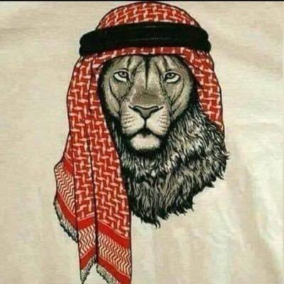 Xonofzeus's profile picture. @ManUtd Fan. Science and History enthusiast. Politics. I love Humanity. Gamer🎮