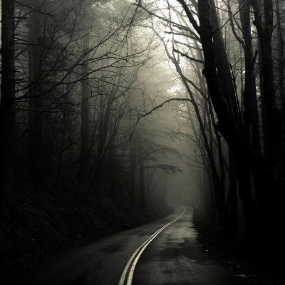 LunaPaigee_'s profile picture. 