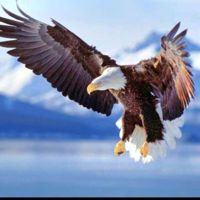 IndraJPiliang's profile picture. 💥 Anak Adat Bumi SIKEREI Mentawai👽 Host MADILOG Forum Keadilan TV  💫 Langkah ALIF 🔥