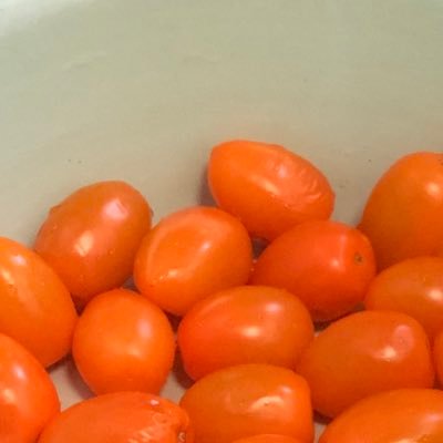 yukiyama1009's profile picture. สิ่งมีชีวิตไร้แก่นสาร ปล่อยมลพิษด้วยการหายใจทุกวัน