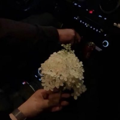 dl_kyaa's profile picture. 