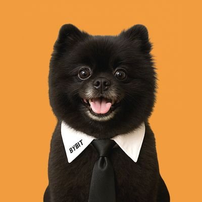 bybitdogshadow's profile picture. SHADOW is Bybit’s official mascot dog — now powered by a fully community-driven token.
Built on Bybit launchpad @printr