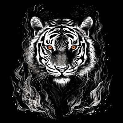 RealPhilBall's profile picture. Buy $Mooncat or stay poor