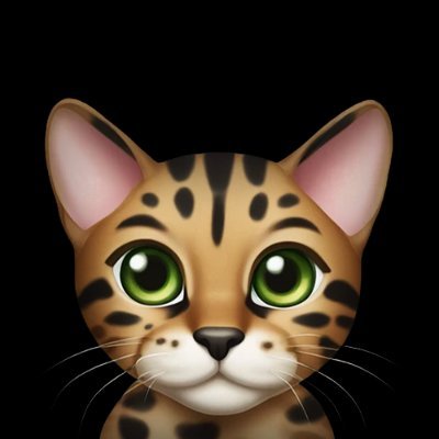 doyxbt's profile picture. 