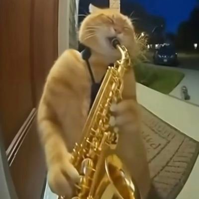 Fairhair16's profile picture. Coffee addicted hermit and librarian