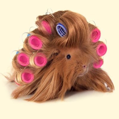 kntsyndrome's profile picture. 