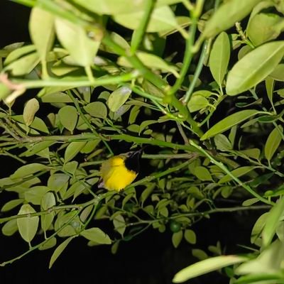 leahmaevasquez1's profile picture. DC: BATONZZZ#9650 https://t.co/fXCufW4Mbx
$FUZZY $XRP $EVR