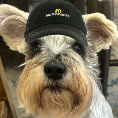 hiirofifty5's profile picture. im out