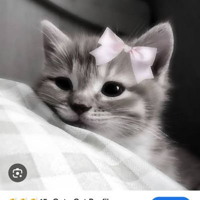 LearnToWorld1's profile picture. My passion is to help you improve your health and relationships by increasing your Chi (life-force energy)