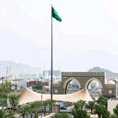 ebrimabab_'s profile picture. Real Madrid🤍 Nuri Şahin🤍 Cr7