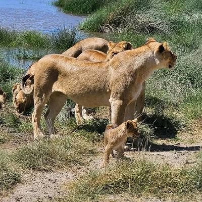 AdoNdaye4463's profile picture. only need to follow everything as breaking news in the world entire