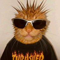 not alberto (@projektwaffers) 's Twitter Profile