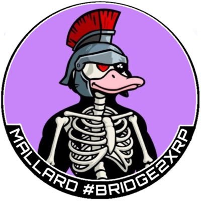 OvrThrown's profile picture. It’s just words on a screen. #BRIDGE2XRP